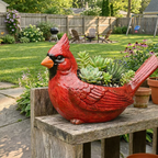 🔥Last Day 50% OFF 🐦Cardinal Bird Succulent Planter