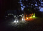 🐎 Horse LED Leg Straps – 4 Pack | Rechargeable Night Riding Safety Lights | Adjustable Velcro Fit for Horses of All Sizes ✨